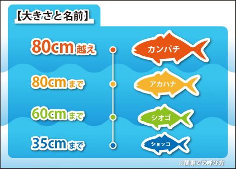 大きくなっていくと名前が変わっていく、不思議な魚タニッ。